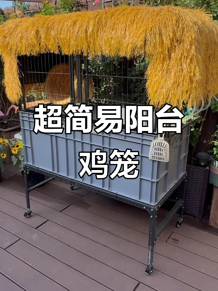 阳台鸡笼DIY，手残党也能轻松搞定