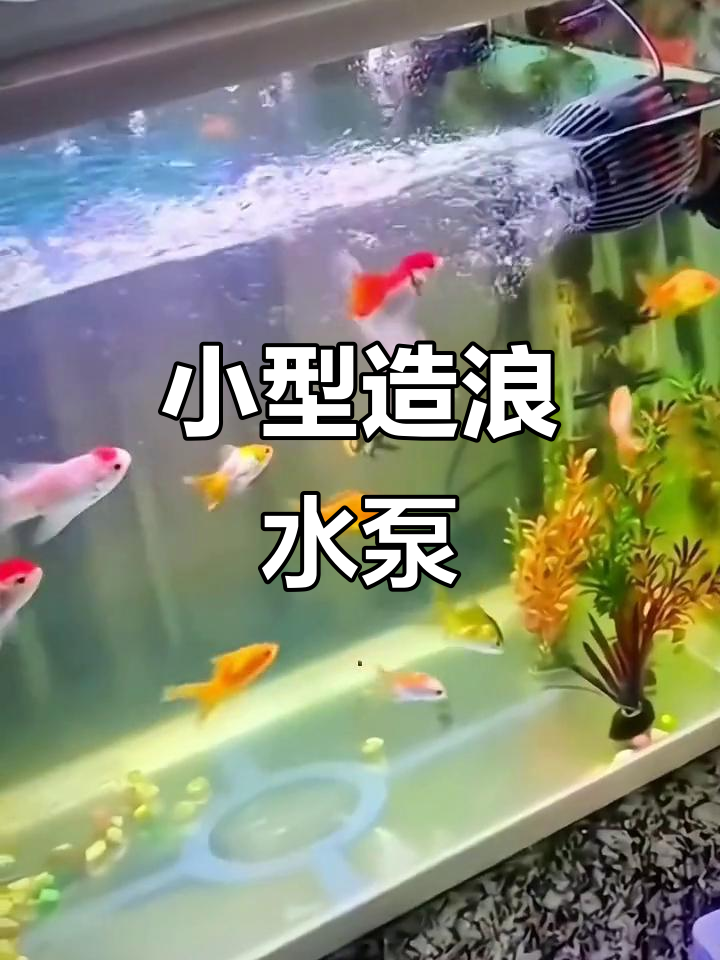 鱼缸静音迷你潜水泵，吸盘设计让水动起来