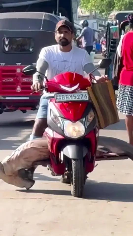 :眼睛,我的眼睛 电动自行车摩托车跑车机车动物搞笑鲨鱼