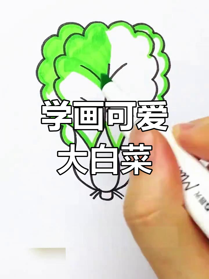 轻松学画大白菜,步骤简单又有趣