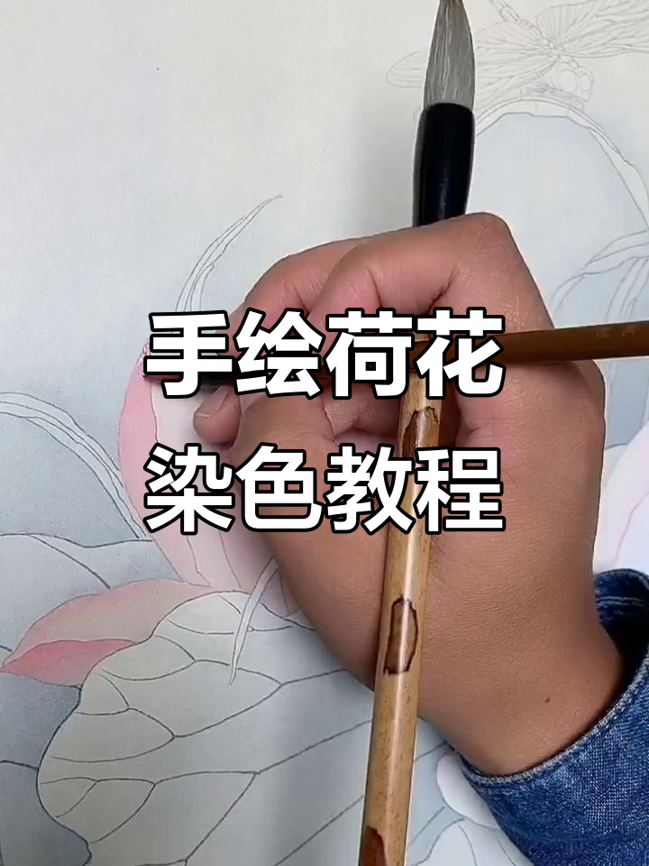 纯手绘荷花工笔画技巧,正反瓣颜色分染全解析