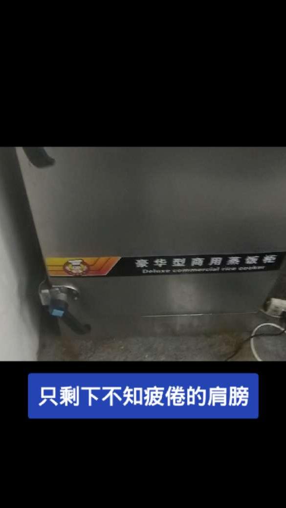 商用蒸箱开关操作演示内部结构展示