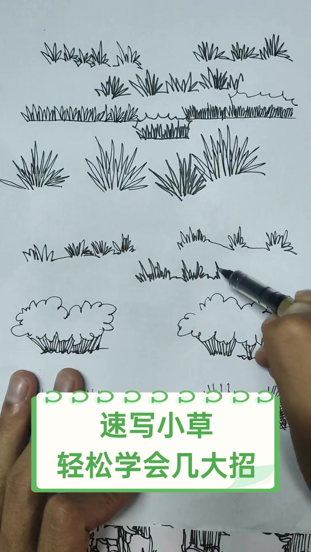 速写小草,轻松学会几大招
