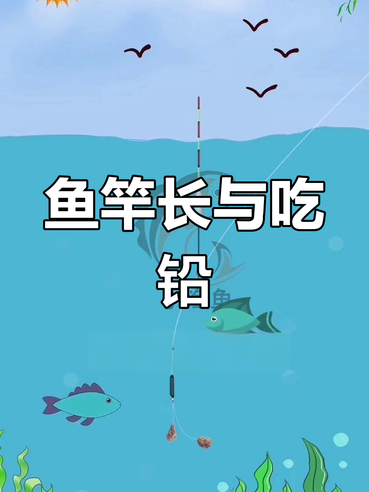 鱼竿长度与吃铅量关系解析