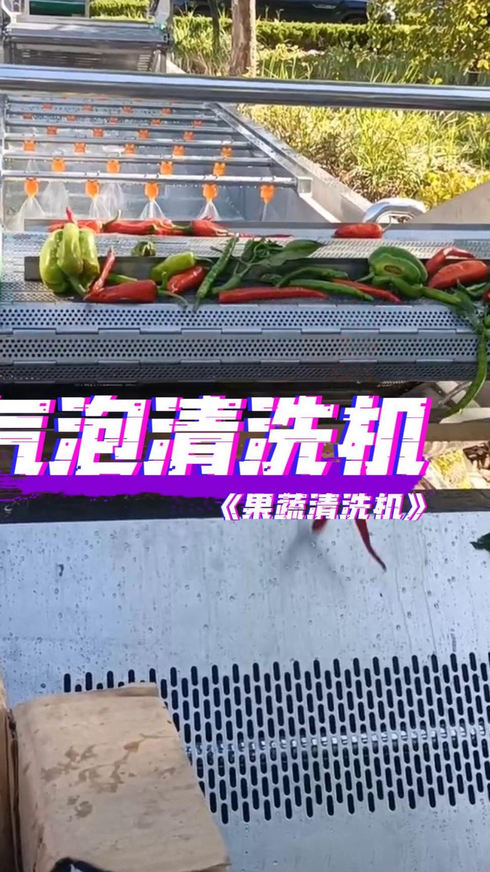 气泡清洗机净菜加工设备