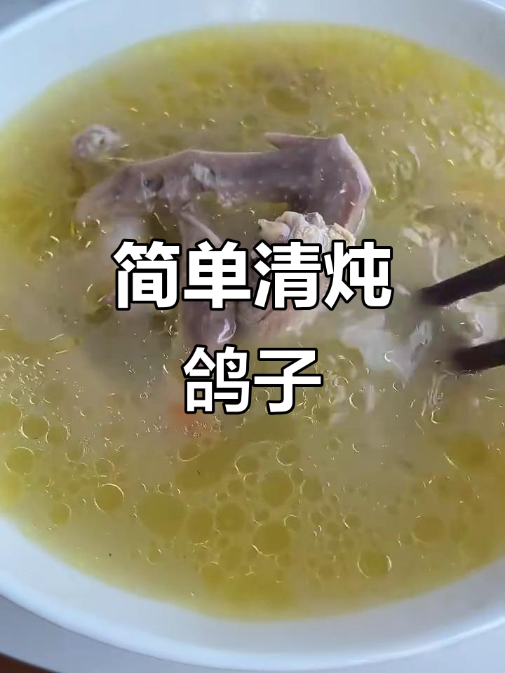 清炖鸽子汤，少放香料更美味