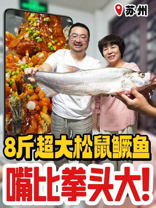 鱼嘴比拳头还大？8斤超大松鼠鳜鱼，跟大家一起长长见识！