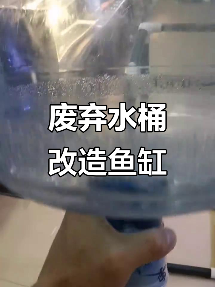 废桶变鱼缸，DIY自动补水系统教程