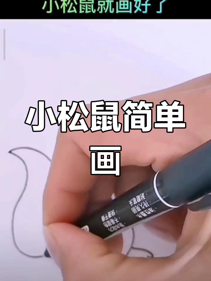 松鼠简笔画,轻松学会超可爱小动物