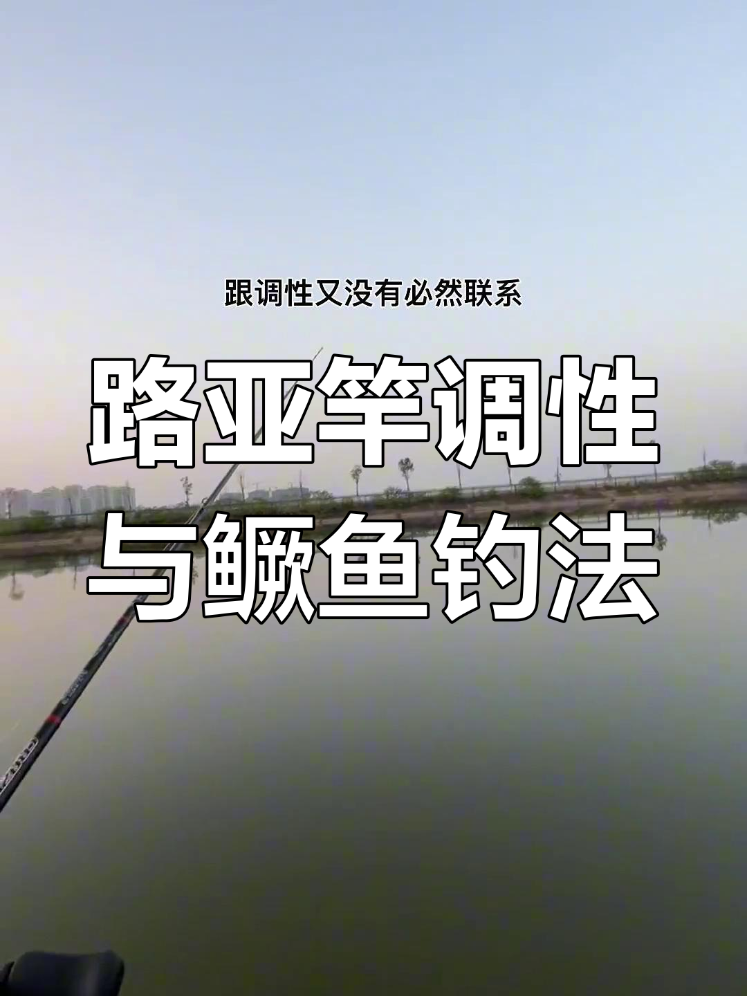 鳜鱼路亚竿调性解读:软饵钓组与硬度选择
