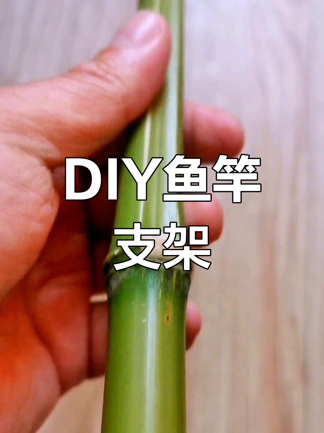 自制鱼竿支架,钓鱼装备升级