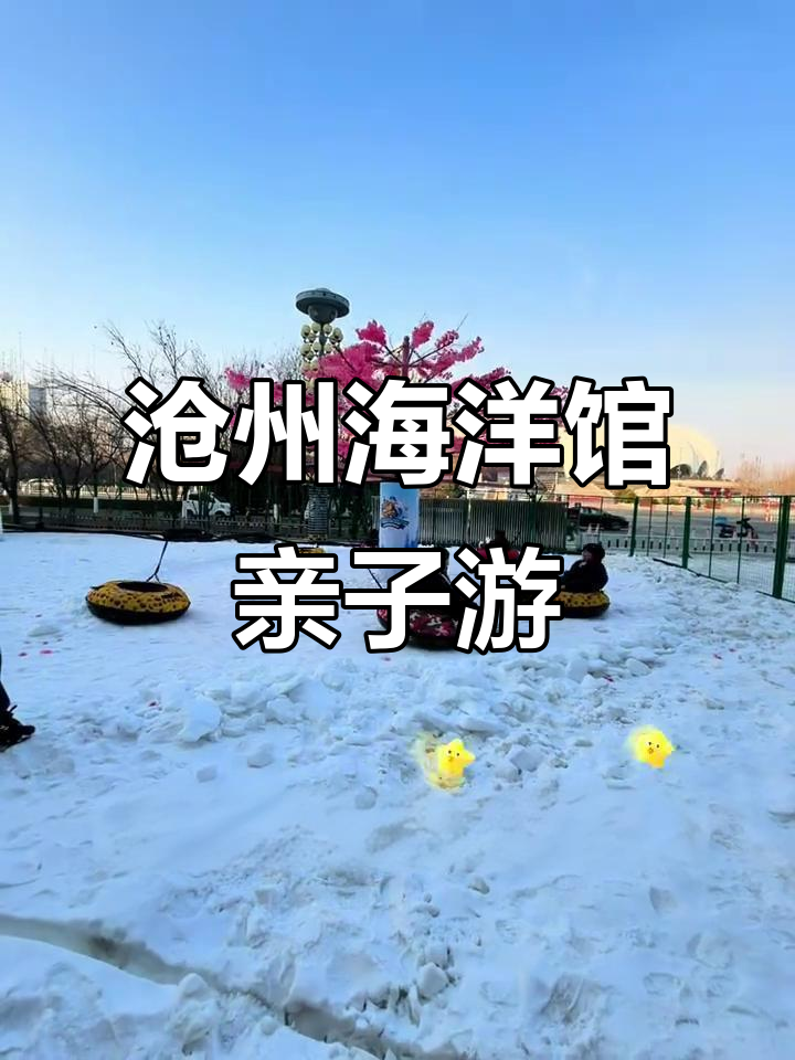 沧州海洋馆过年全攻略:美人鱼、海狮表演与冰雪世界