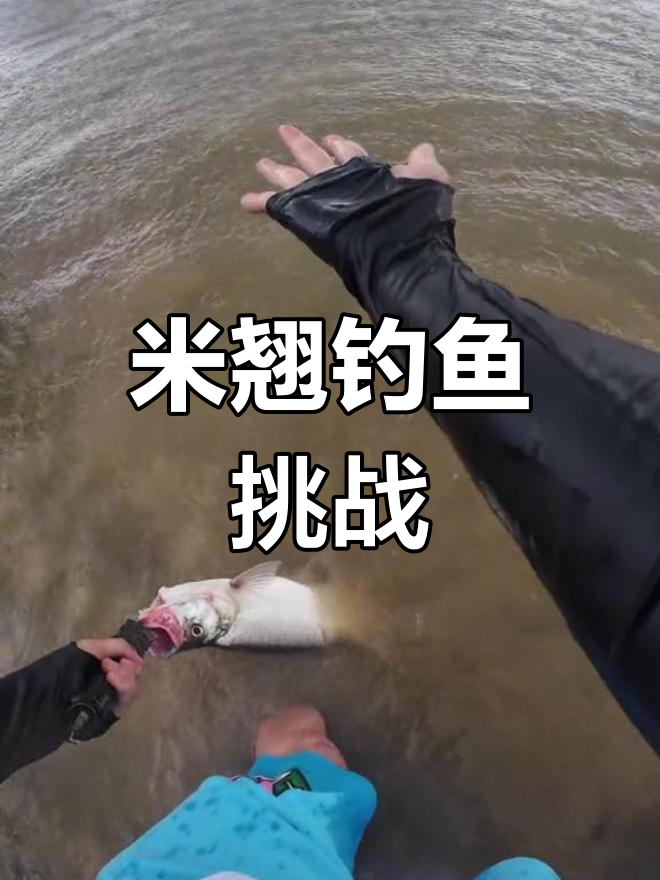 安徽游钓米翘解锁,跑鱼大戏即将上演