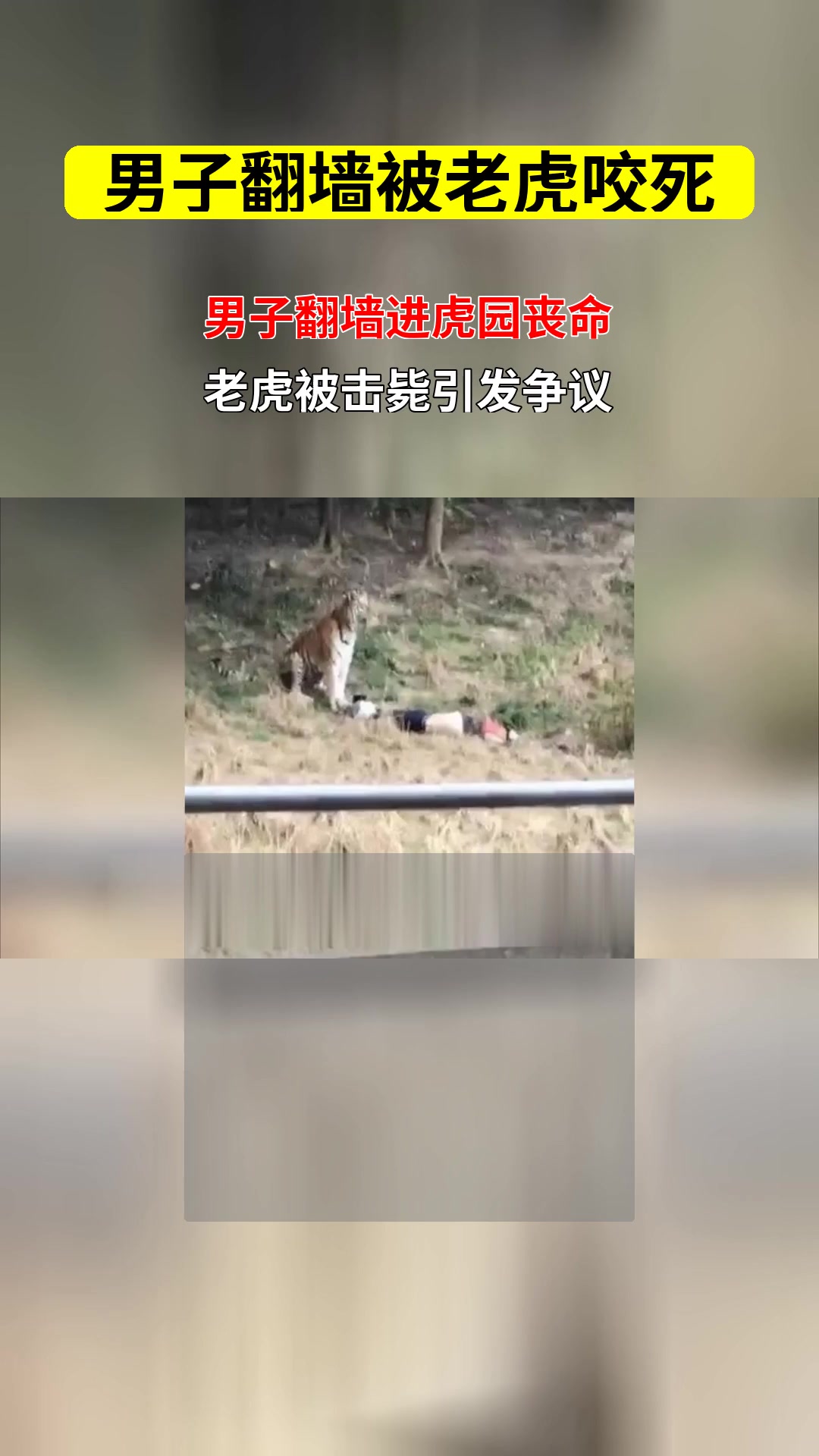 宁波动物园老虎咬人事件 园区应急救援程序是否合规