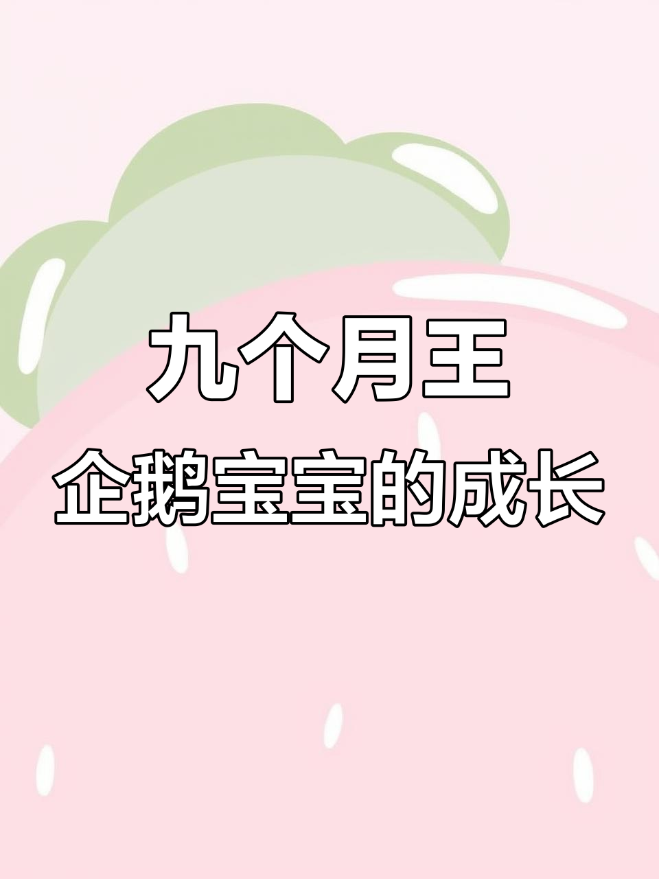 王企鹅宝宝成长记:从可爱小毛球到胖乎乎的小探险家