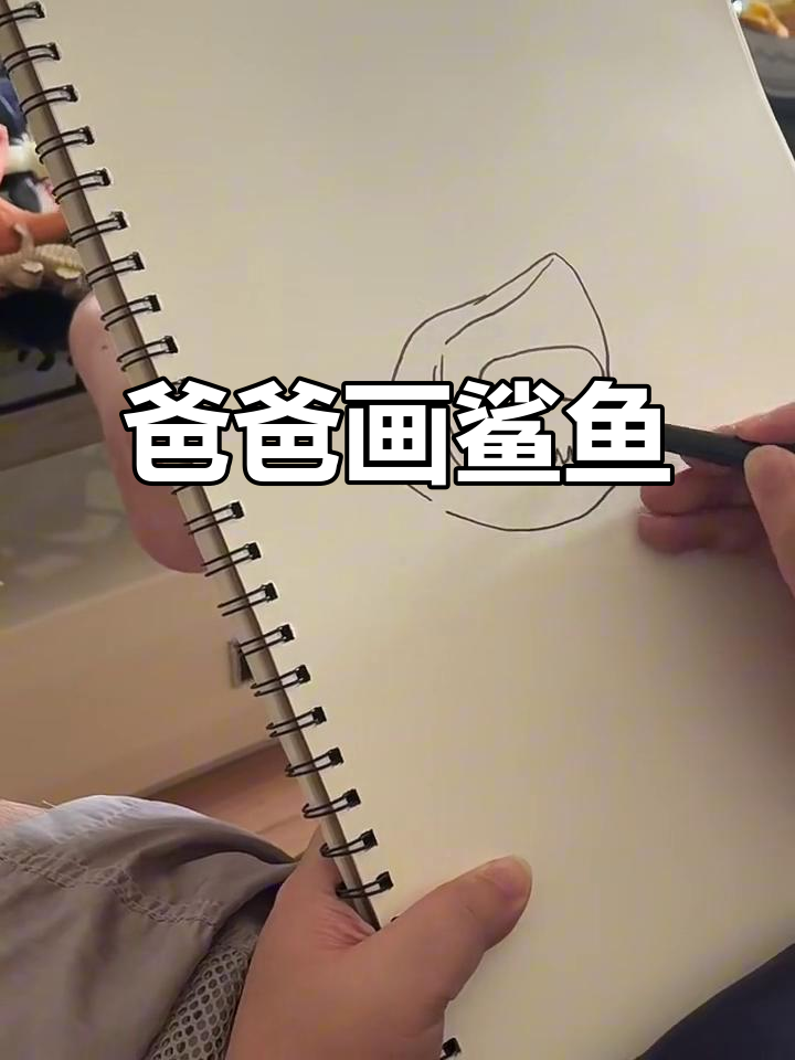 爸爸速写鲨鱼,萌态十足!