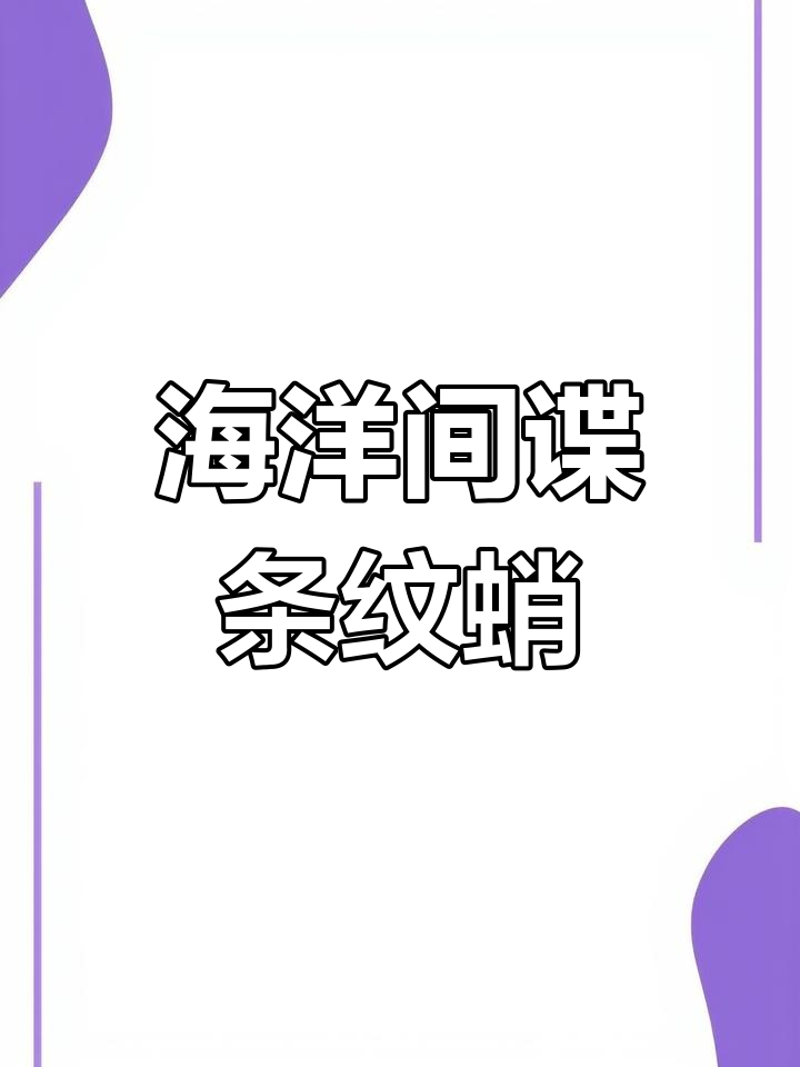 条纹蛸巧妙伪装,偷壳封洞躲避天敌