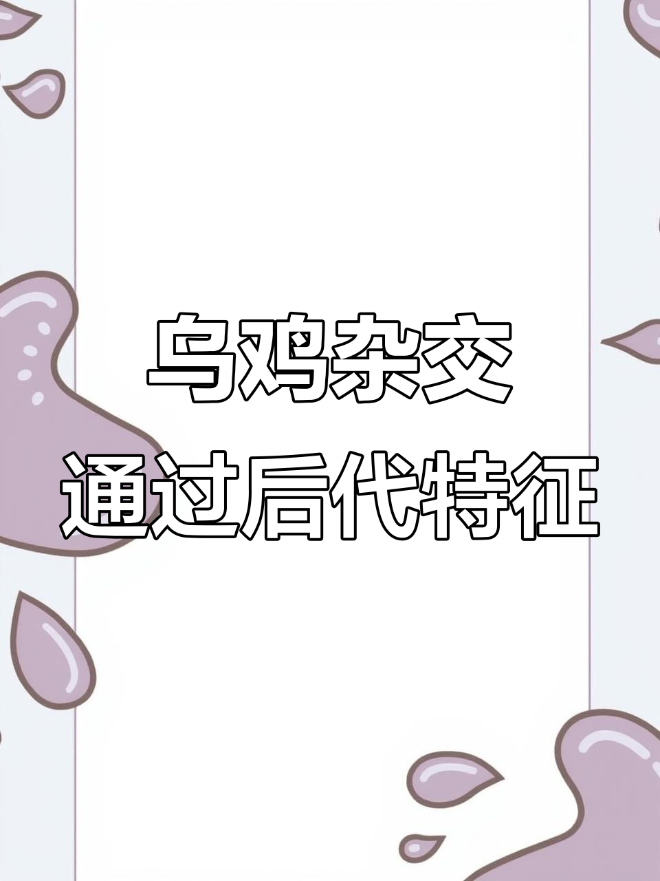 乌鸡与土公鸡杂交,后代羽毛颜色和脚趾揭秘