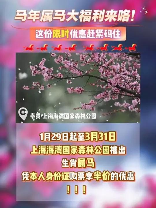 来上海奉贤接下这波马年属马大福利！