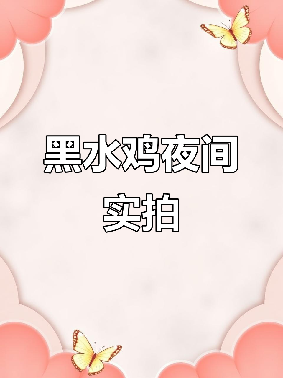 夜游鸟叫声大作战,黑水鸡惊现现场!