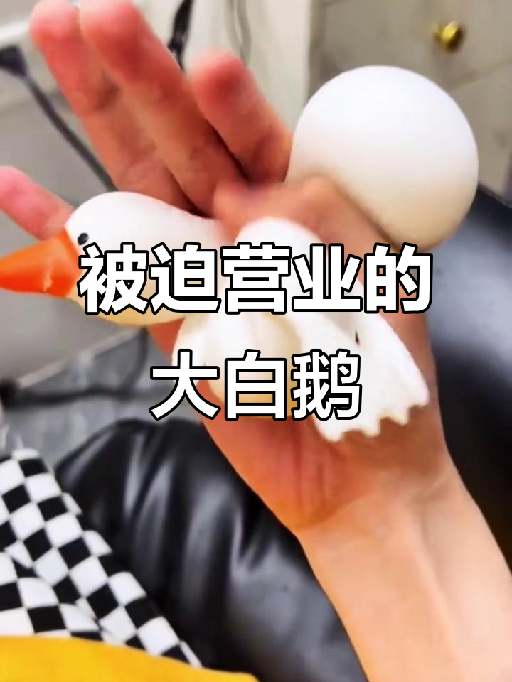 大白鹅被迫营业,心情不好也要拍视频,太可爱了!