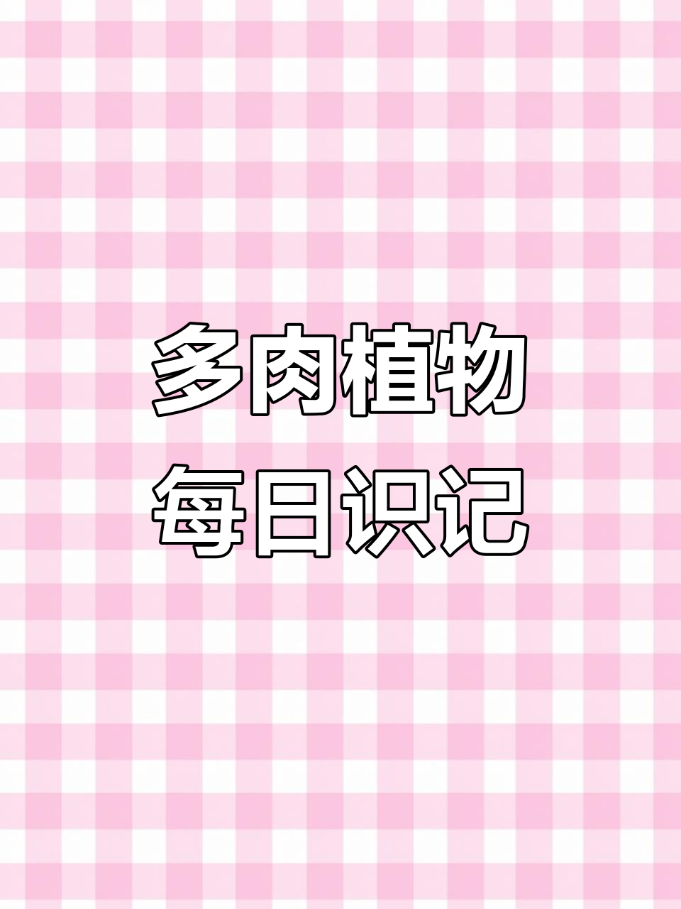 每天认识十种多肉植物,带你了解小米星、茜之塔等经典品种