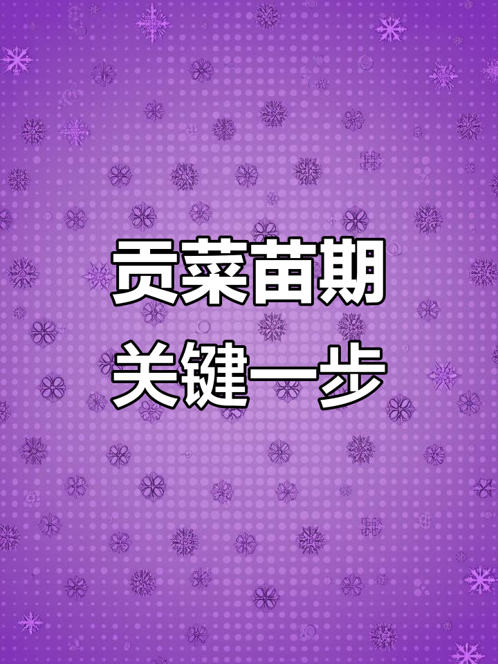 贡菜苗期生根防病秘诀,选对肥料事半功倍