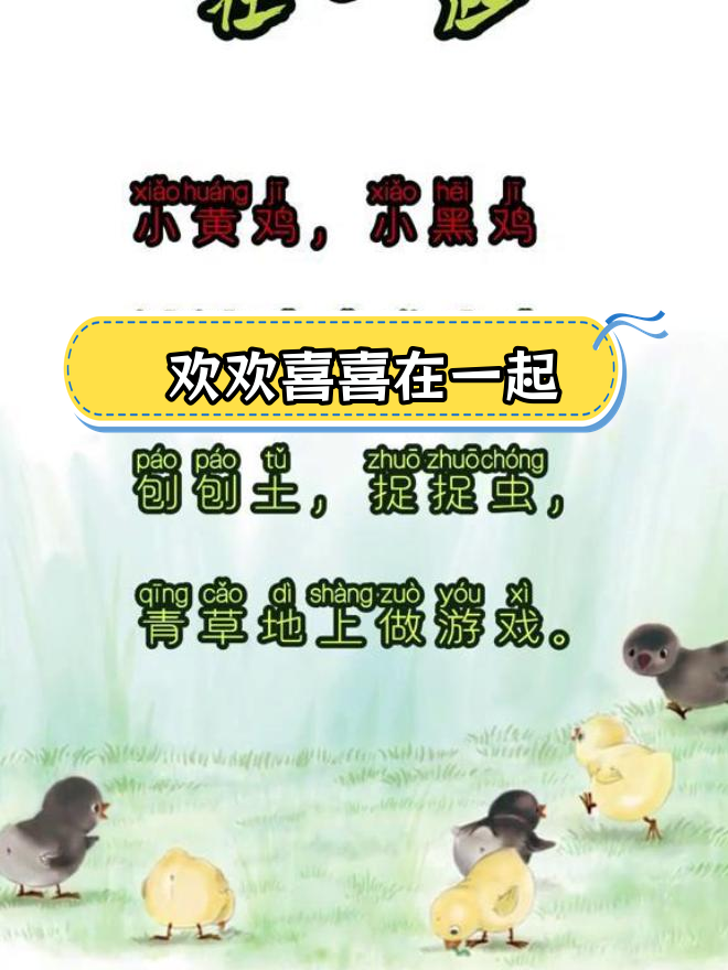 小黄鸡与小黑鸡的快乐时光