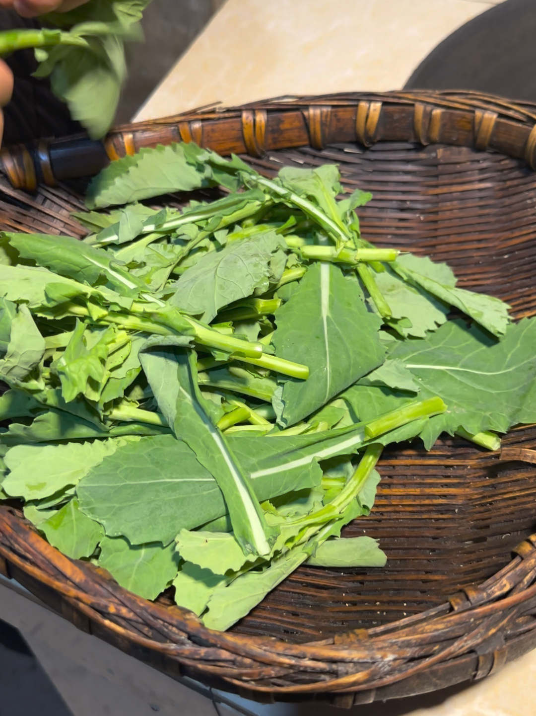 白菜苔又叫油菜苔!炒着吃安逸～