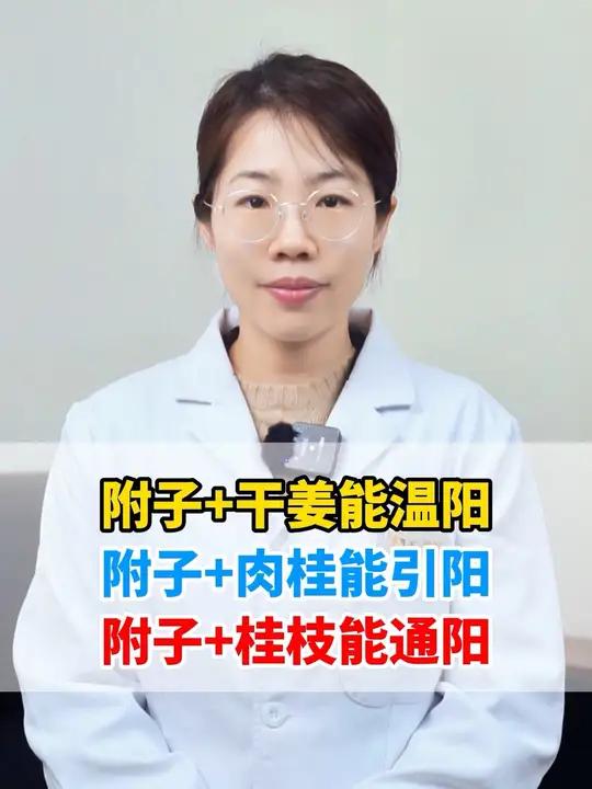 子干姜温阳,附子肉桂引阳,附子桂枝通阳