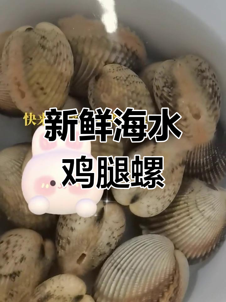 昨晚赶海收获鸡腿螺,凌晨清水煮吃鲜美无比