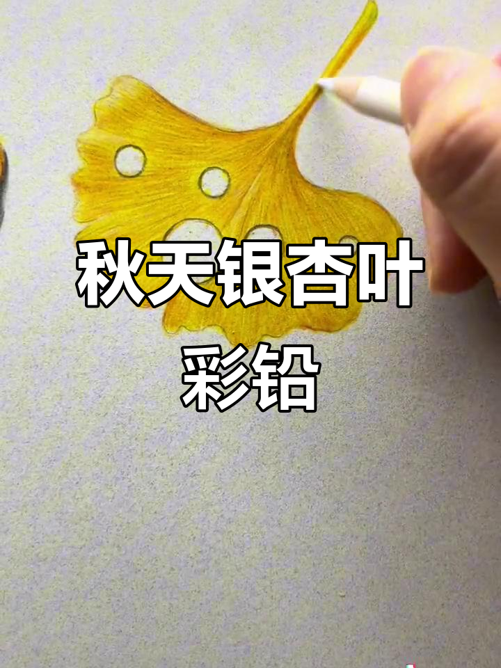 银杏叶彩铅画法,画出秋天的温暖色彩