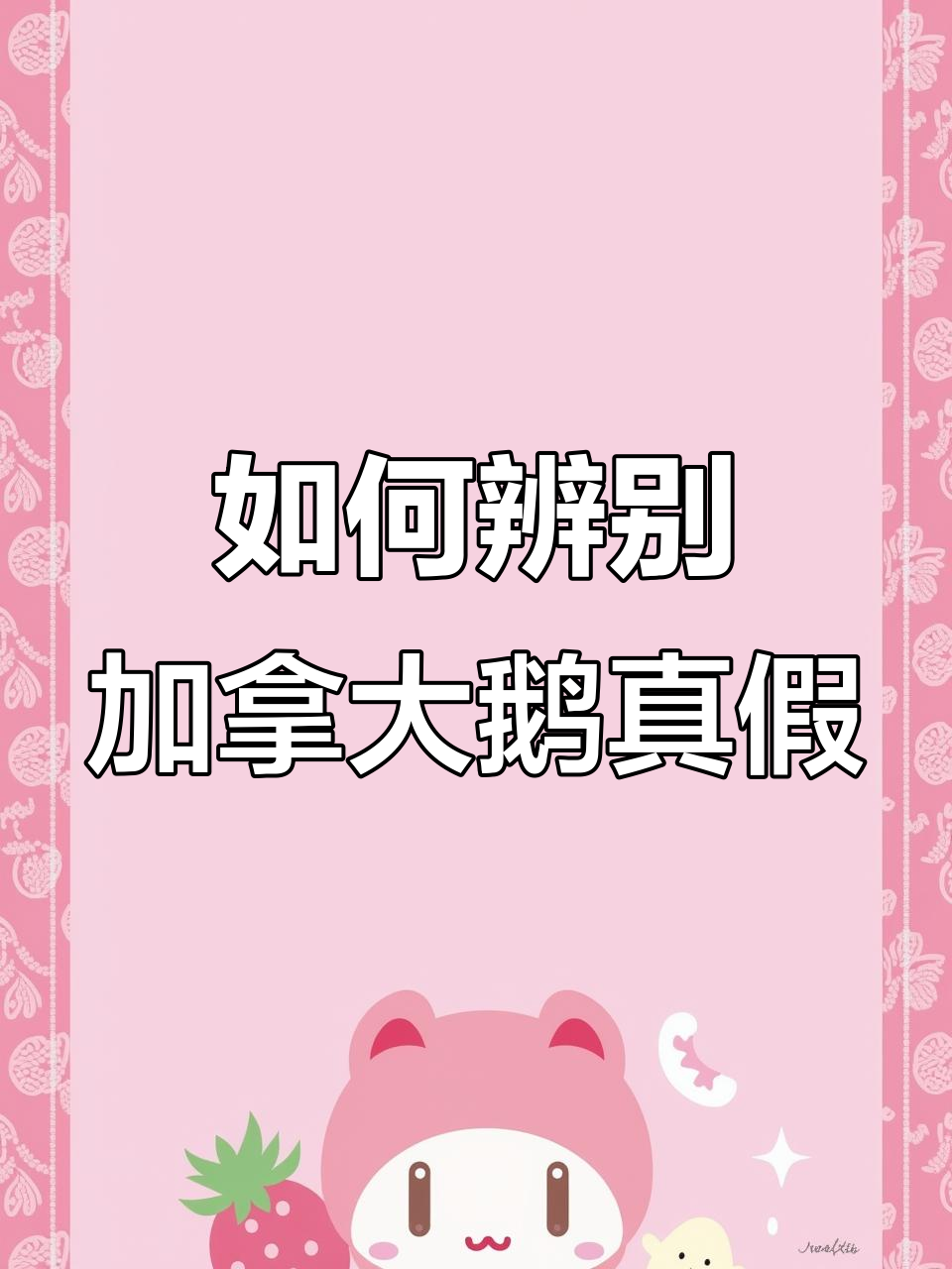 加拿大鹅选材揭秘:如何挑选真伪与性价比