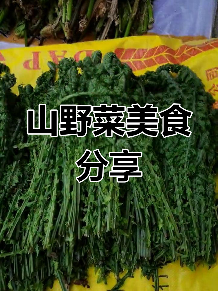 东北广东菜与山野菜的完美搭配,炖排骨炒肉都超美味