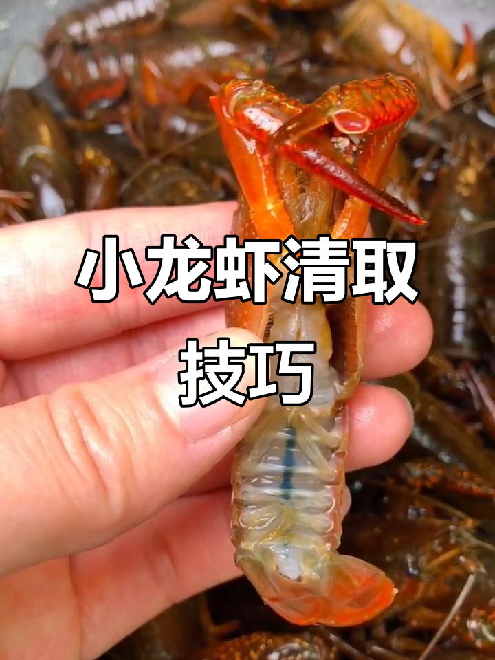 轻松清洗小龙虾,步骤全解!