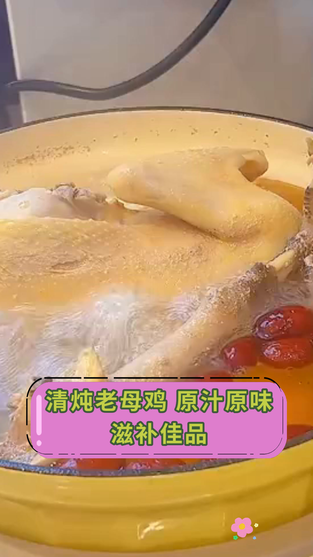 清炖老母鸡 原汁原味滋补佳品