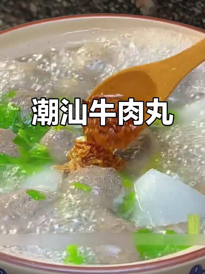 潮汕牛肉丸,Q弹十足,汤火锅皆宜,绝对让你回味无穷!