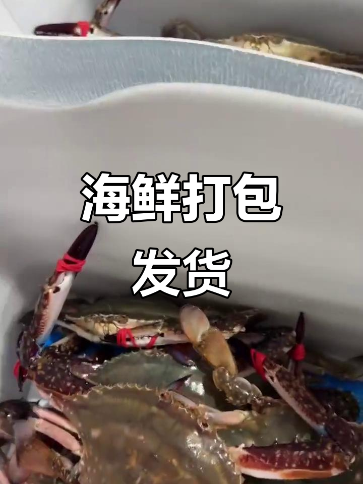 渤海海鲜大套餐,公蟹踏板鱼搭配发货