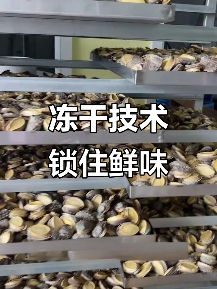 真空冷冻干燥机揭秘:如何保留鲍鱼营养与新鲜度