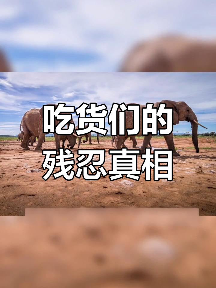你们吃鹅掌驴肉,猴子脑髓也难逃一劫!