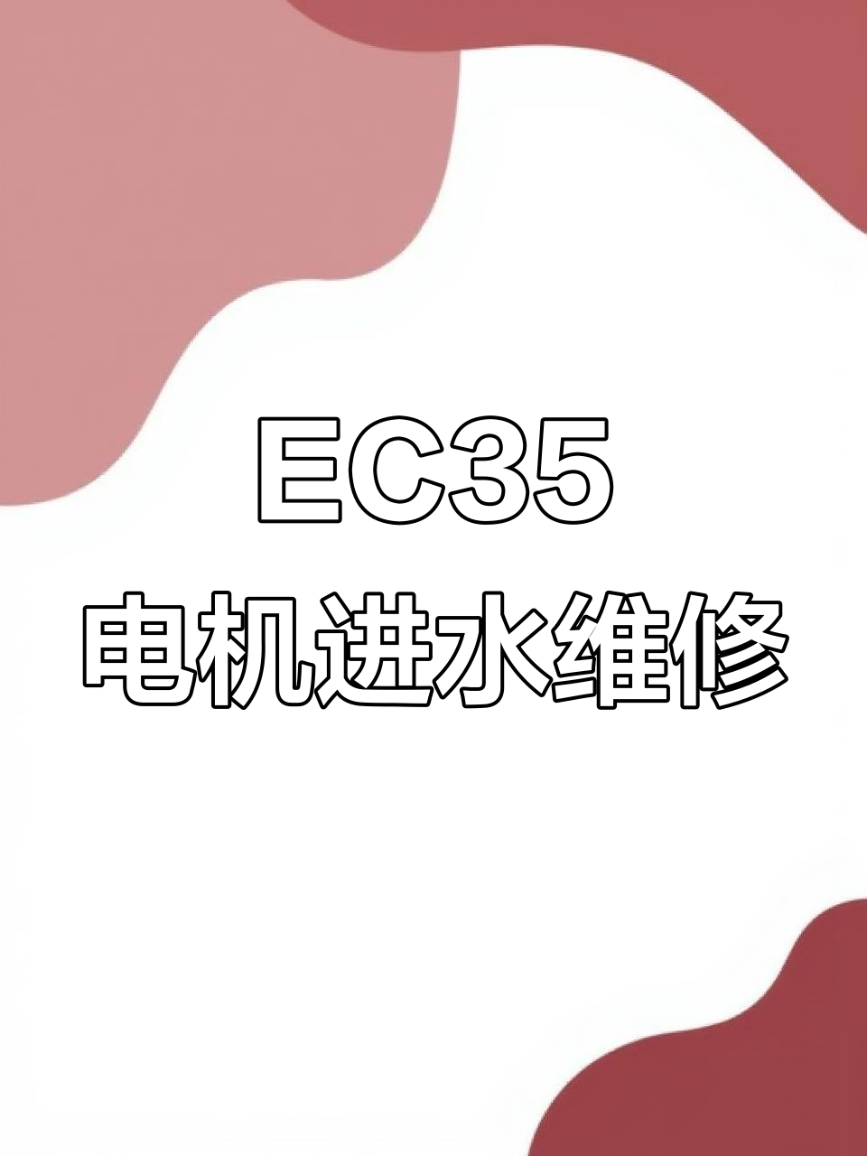 瑞驰EC35电机进油,线圈未烧真是万幸!接下来清洗密封处理