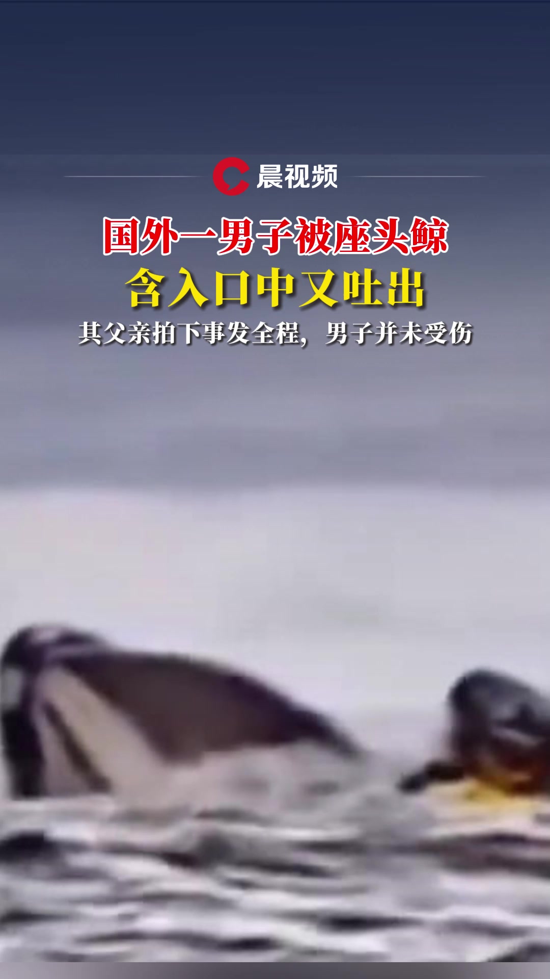 国外一男子被座头鲸含入口中又吐出,其父亲拍下事发全程,男子并未受伤