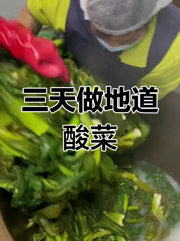 毕节酸菜三天搞定,无盐酸制法大揭秘
