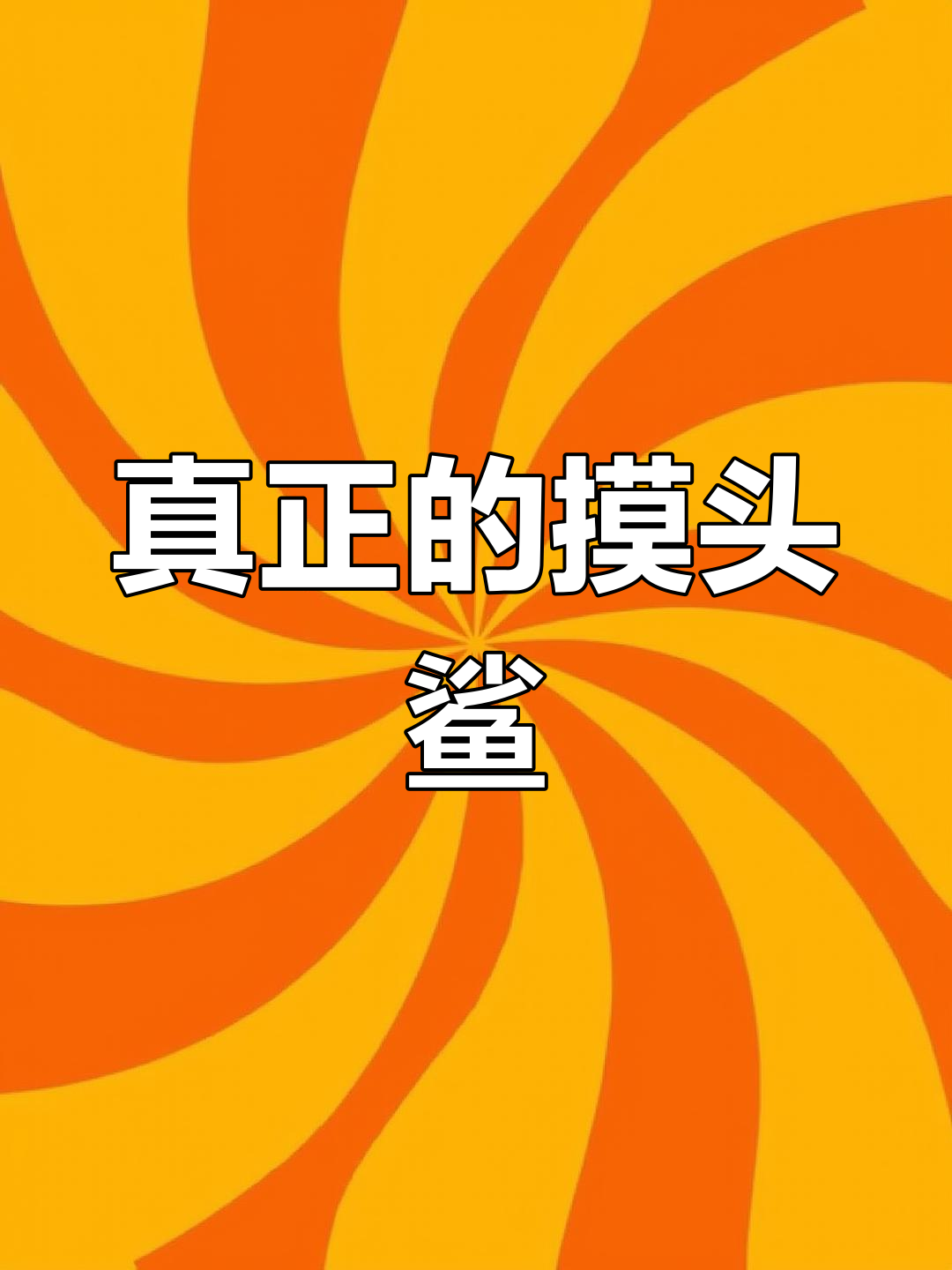 鲨鱼也喜欢被摸头?零距离互动太萌了