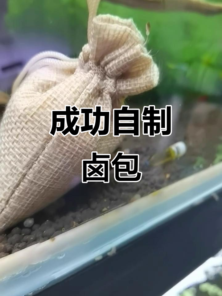自制卤包大成功,水晶虾美味来袭