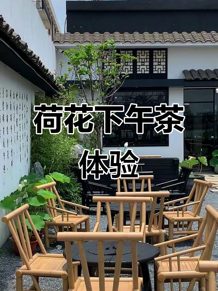 广州荷花主题下午茶,夏日清新感满满