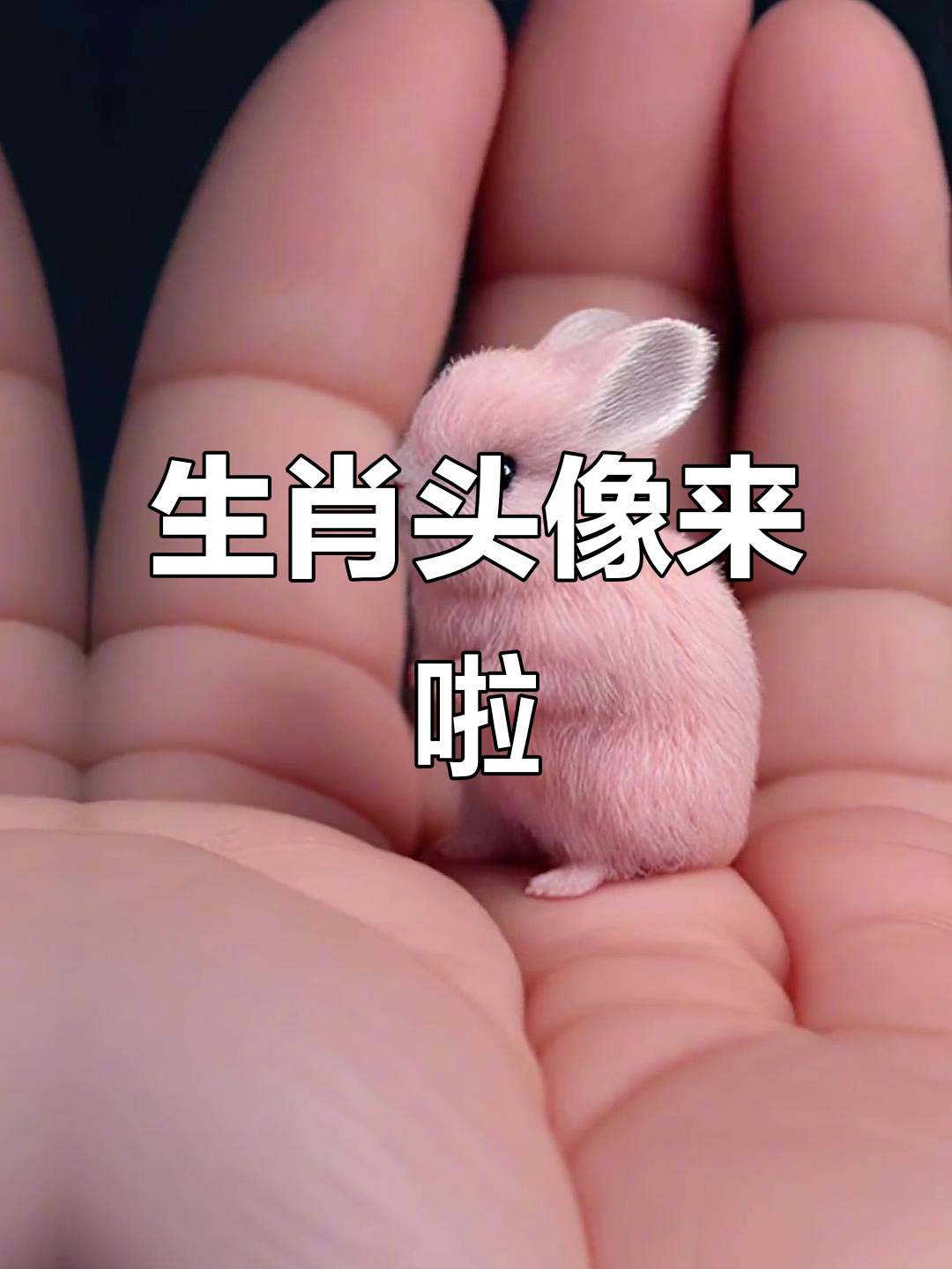 十二生肖头像大集合,快来换上你的属相吧!
