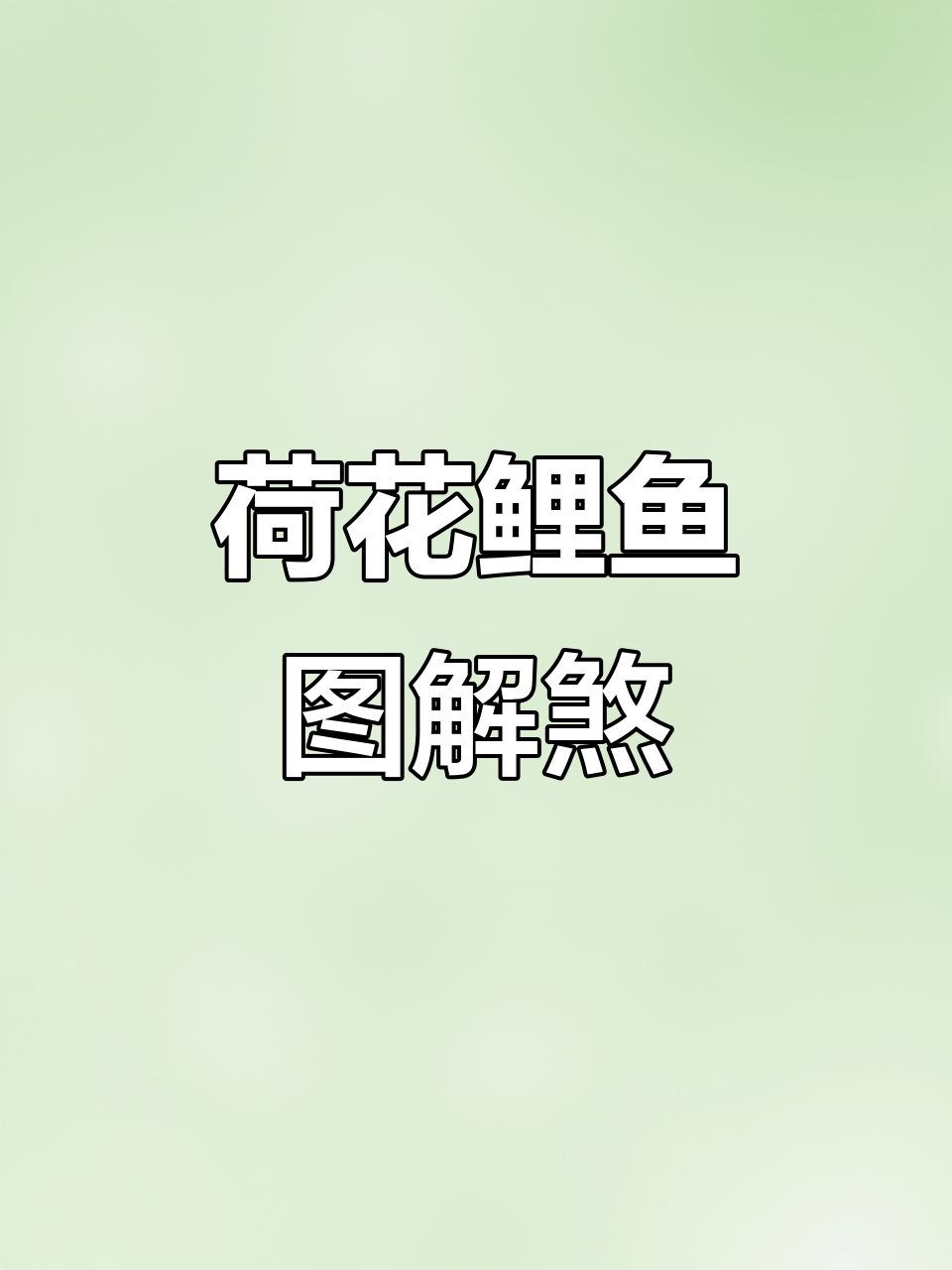 卫生间放洗衣机危害大，莲花鲤鱼图帮你化解污秽之气