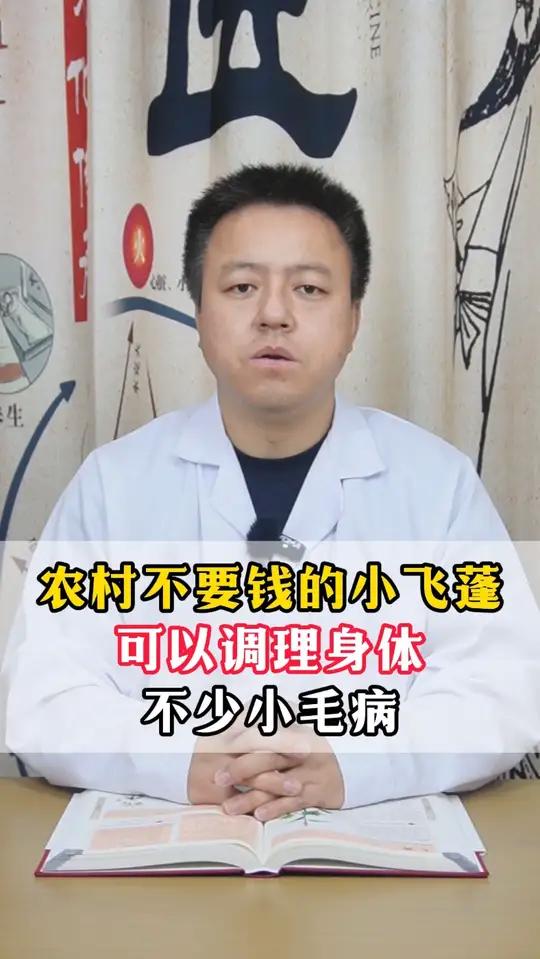 农村不要钱的小飞蓬,可以调理身体不少小毛病