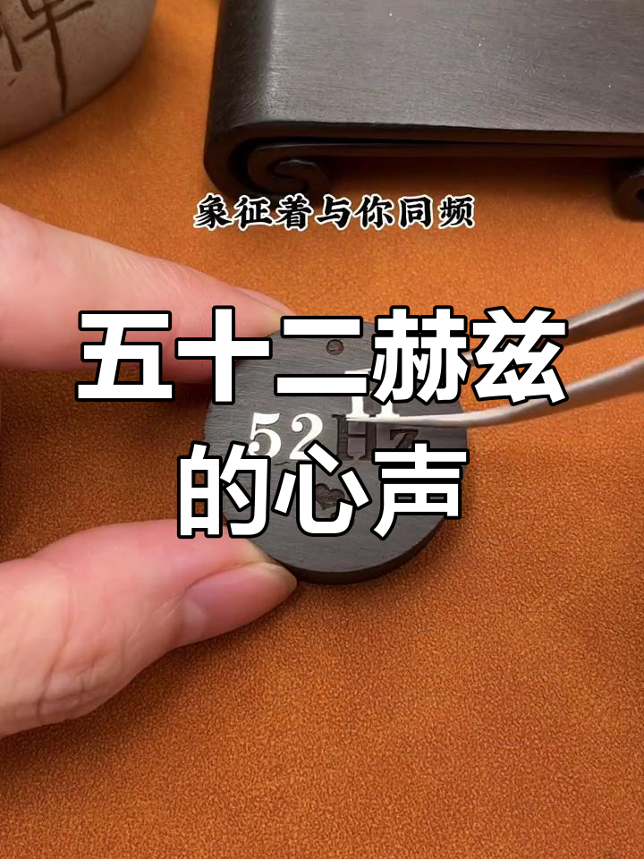 52赫兹的秘密:鲸鱼与人类的心灵共鸣